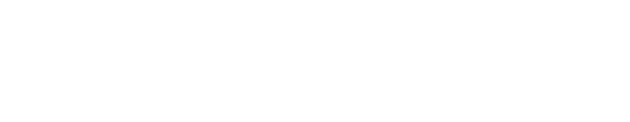 Drmanaqib logo white