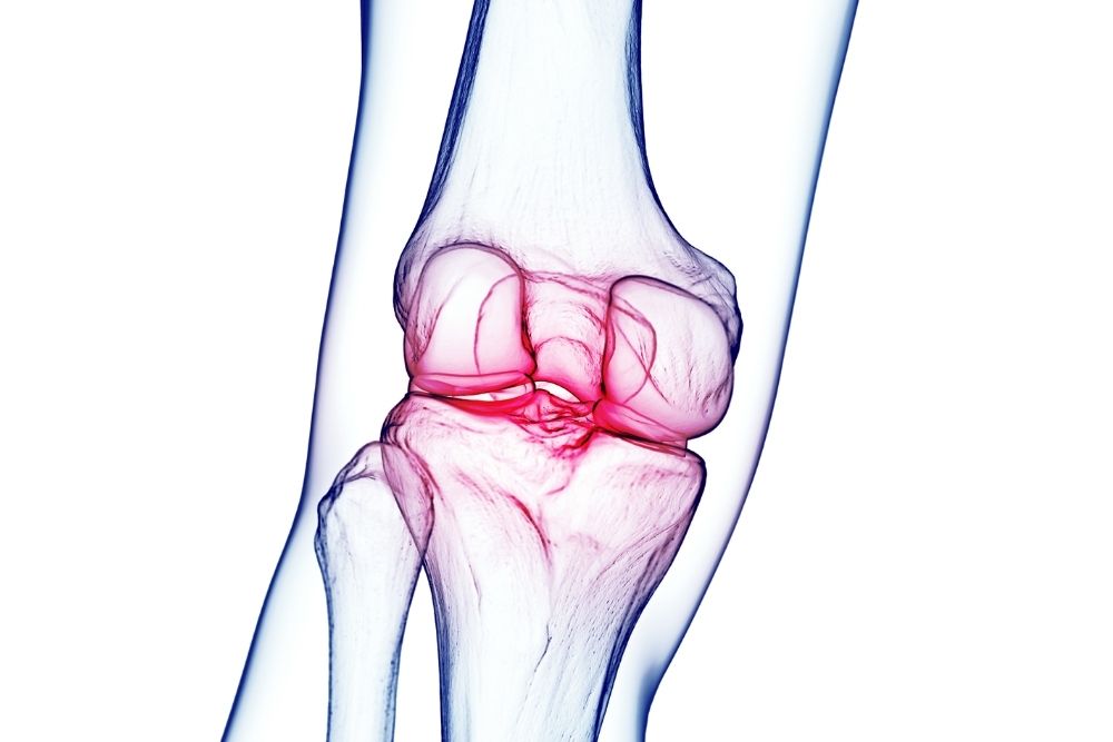 Knee