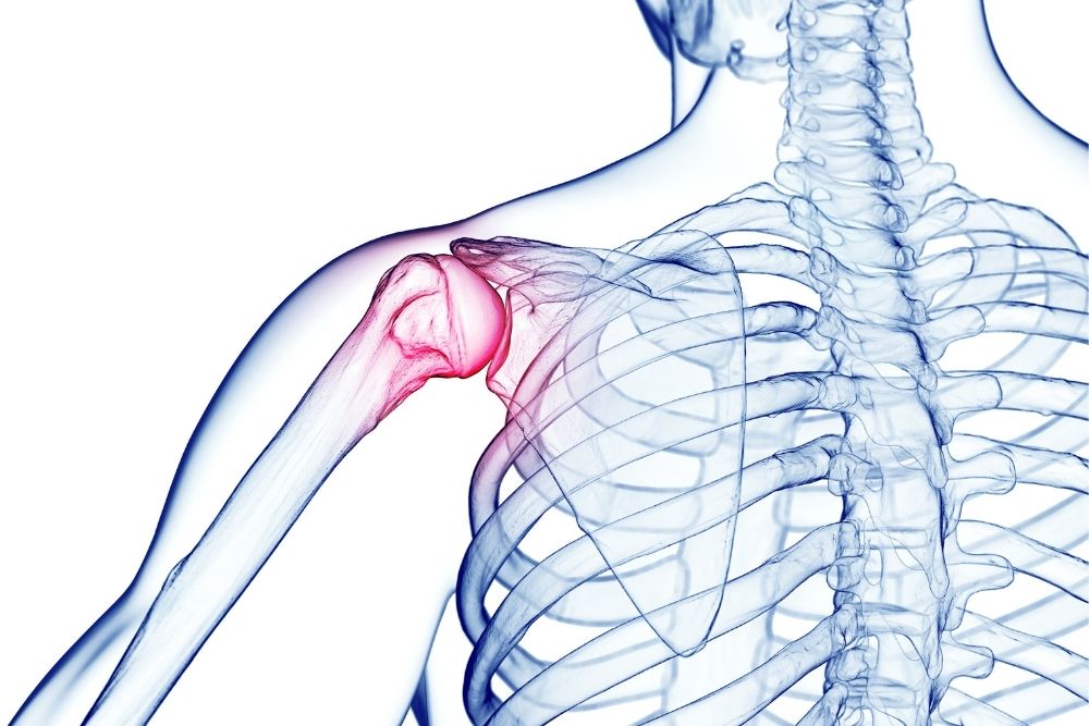 Shoulder
